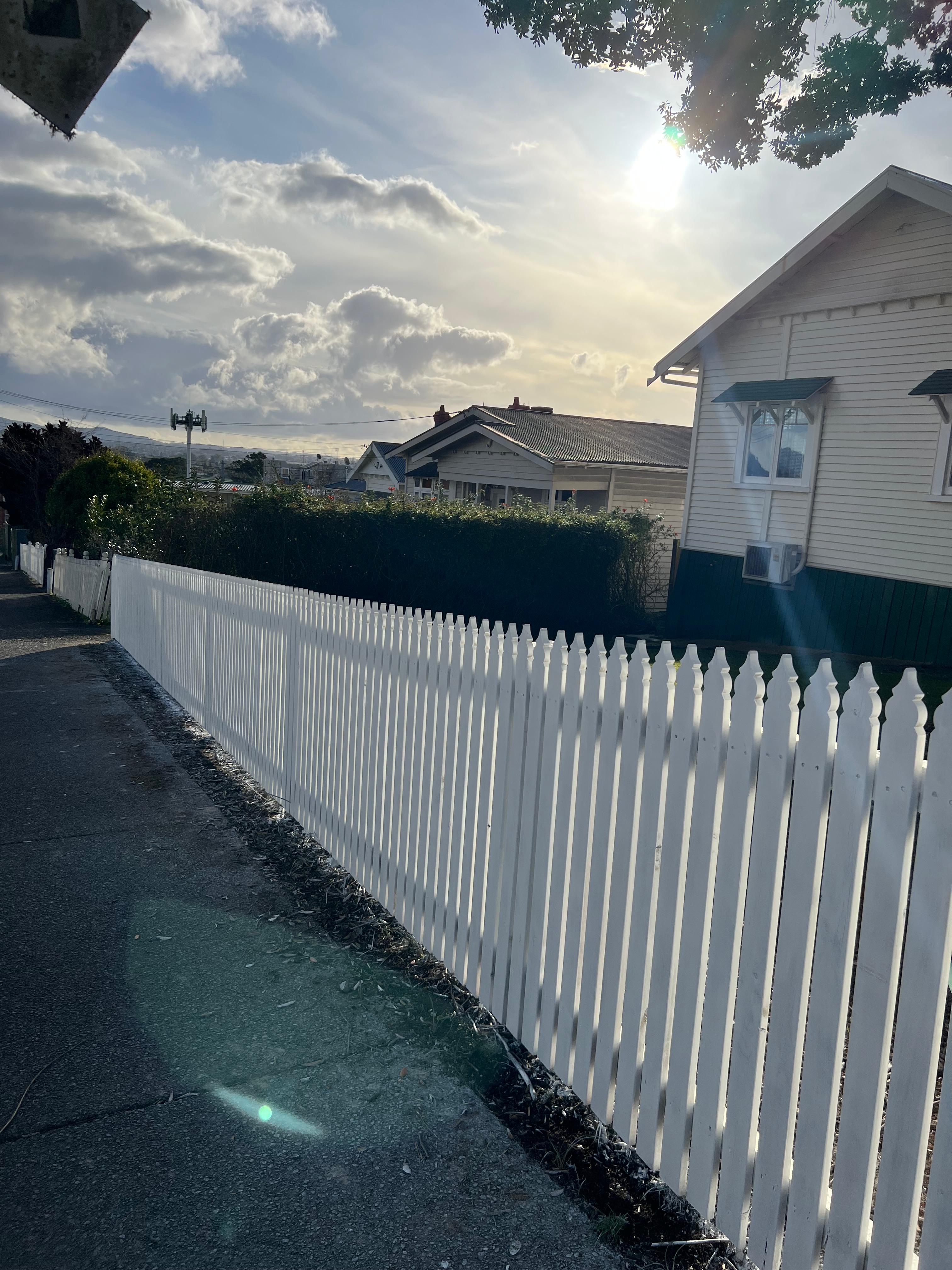 Timber fence project in Auckland
